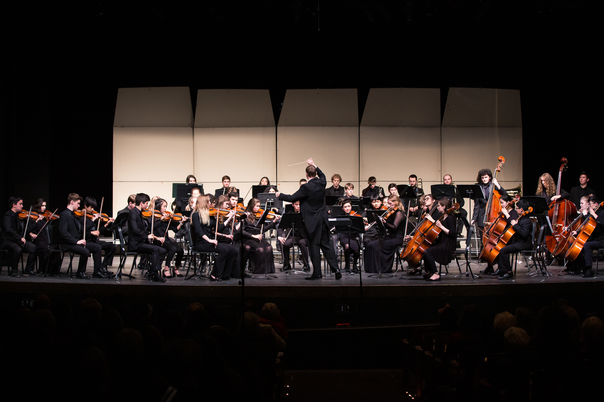 Youth Symphony Eugene Springfield Youth Orchestras